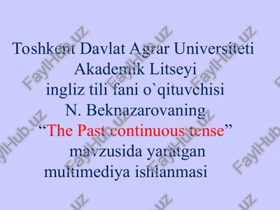 the past continuous tense — PPT