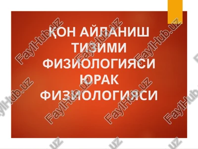 hayvonlarda yurak va qon harakatini anatomik tekshirish — PPT