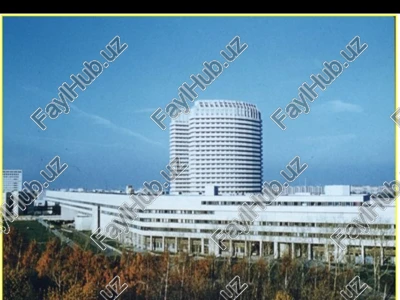 klinik anatomiyasi — PPT