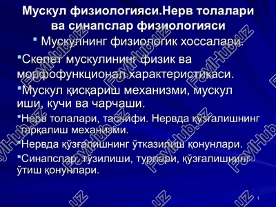 muskul fiziologiyasi.nerv tolalari va sinapslar fiziologiyasi — PPT
