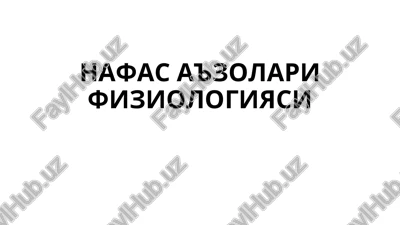 nafas a'zolari fiziologiyasi — PPT