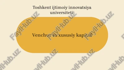 venchur va xususiy kapital — PPTX