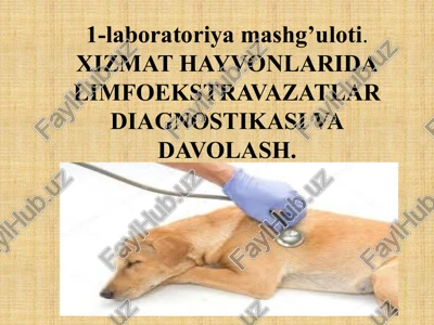 xizmat hayvonlari dalimfo ekstravazatlar diagnostikasi va davolash — PPTX