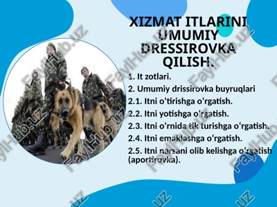 xizmat itlarini umumiy dressirovka qilish — PPTX