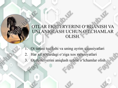 ottanasituzilishi va uning ayrim xususiyatlari — PPTX