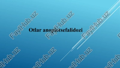 otlar anoplotsefalidozi — PPTX