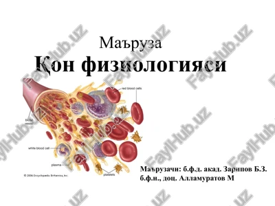 ma'ruzaqon fiziologiyasi — PPTX