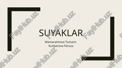 suyaklar — PPTX