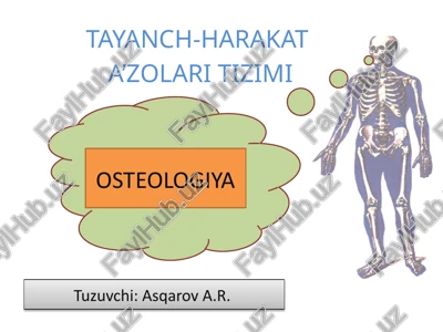 tayanch-harakat — PPTX