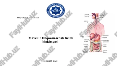 oshqozon-ichaktizimi biokimyosi — PPTX