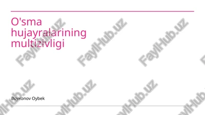 o'sma hujayralarining multizivligi — PPTX