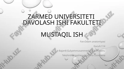 ovozchiqarish mexanizmi — PPTX