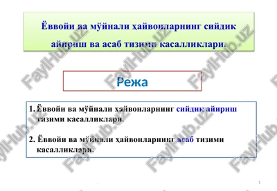 gerasimchik v.a. infektsionnie i nezaraznie bolezni pushnix zverey i krolikov — PPTX