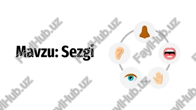 sezgi — PPTX