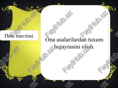onaasalarilardan tuxum hujayrasini olish — PPTX