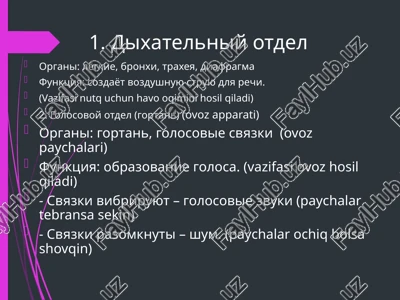 fonetika. nutq tovushlarining hosil boʻlishi — PPTX