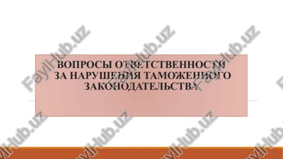 printsipi peremesheniya tovarov cherez tamojennuyu granitsu — PPTX