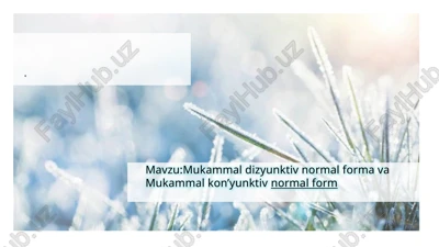 diz’yunktiv normal shakl — PPTX