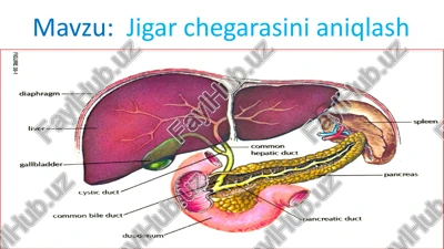 jigarchegarasinianiqlash — PPTX
