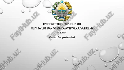 vin rezinalari — PPTX