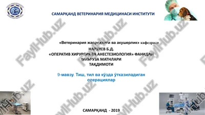 operativ xirurgiya va anesteziologiya — PDF