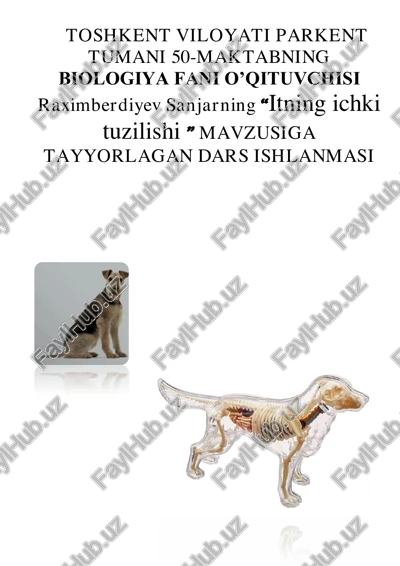 itning ichki tuzilishi — PDF