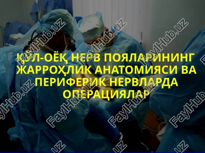 nerv tizimi anatomiyasi — PPTX