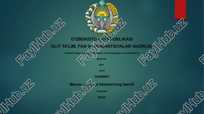 axborot tizimlarining tasnifi — PPTX