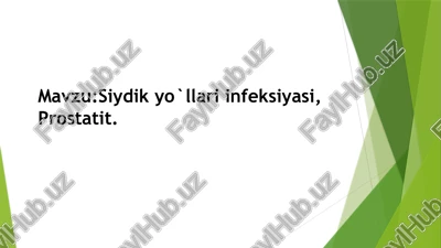 siydikyo`llari infeksiyasi, prostatit — PPTX