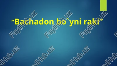 bachadon bo`yni raki — PPTX