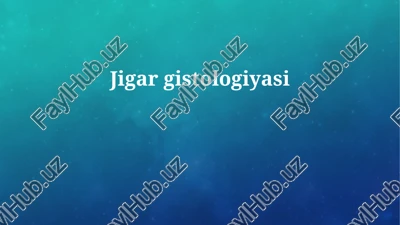 jigar gistologiyasi — PPTX