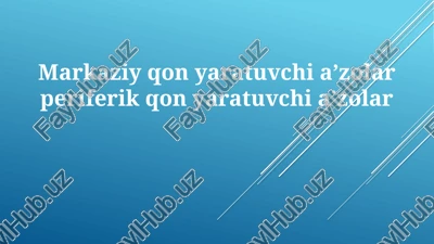qon yaratuvchi organlar — PPTX