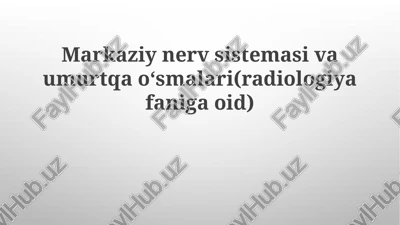 markaziynervsistemasivaumurtqao‘smalari(radiologiyafanigaoid) — PPTX