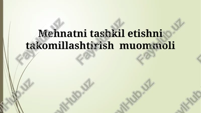 mehnatni tashkil etishni takomillashtirish muommoli — PPTX