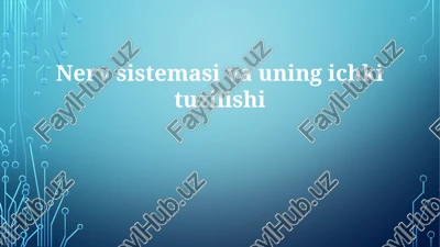 nervsistemasivauningichkituzilishi — PPTX