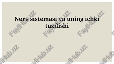 nerv sistemasi va uning ichki tuzilishi — PPTX