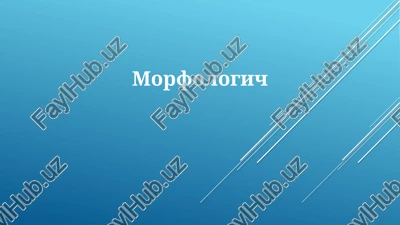 morfologiya — PPTX