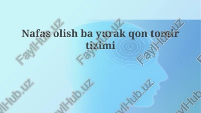 nafasolishbayurakqontomirtizimi — PPTX