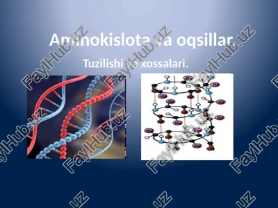 aminokislotavaoqsillar — PPTX