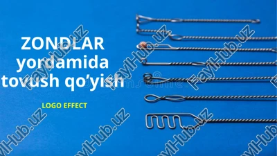 zondlar — PPTX