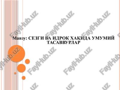 sezgi va idrok xaqida umumiy tasavvurlar — PPTX