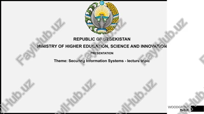 securing information systems — PPTX