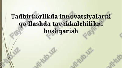 tadbirkorlikda innovatsiyalarni qoʻllashda tavakkalchilikni boshqarish — PPTX