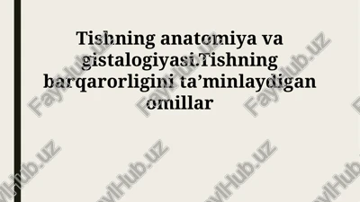 tishning anatomiya va gistalogiyasi — PPTX