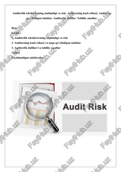 auditorlik tekshiruvi — DOCX