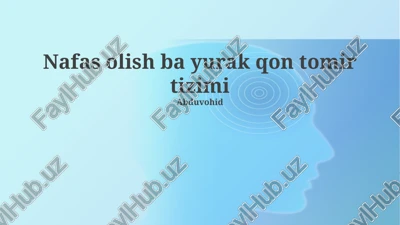 nafas olish va yurak-qon tomir tizimi — PPTX