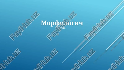 morfologiya — PPTX