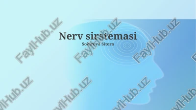 nerv sirstemasi — PPTX