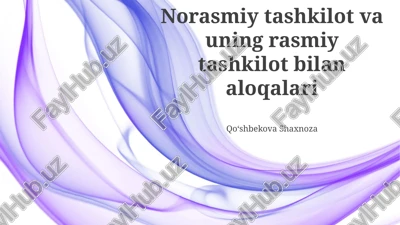 nodavlat notijorat tashkilotlari va hukumat tashkilotlari — PPTX