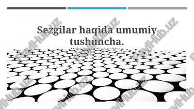 intuitsiya haqida — PPTX